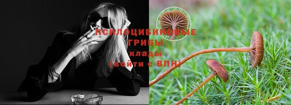 винт Алзамай