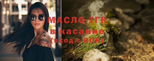 индика Арсеньев