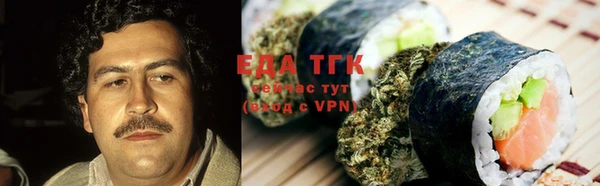 индика Арсеньев