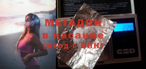 индика Арсеньев