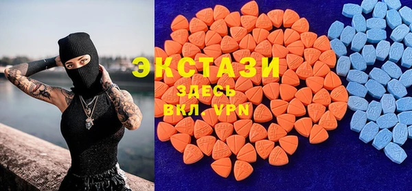 индика Арсеньев