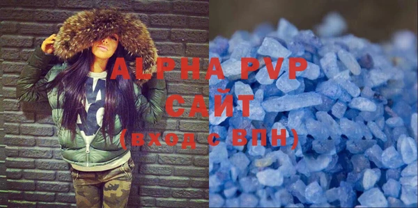 индика Арсеньев