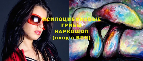 МДПВ Аркадак
