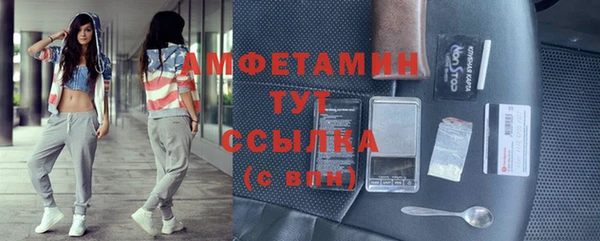индика Арсеньев