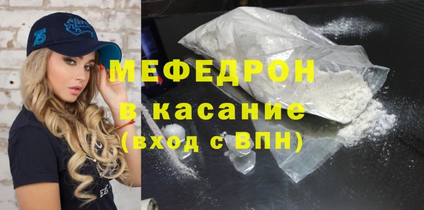 индика Арсеньев