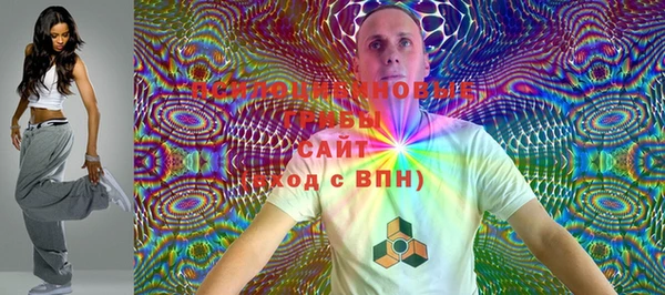 индика Арсеньев