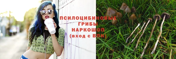 МДПВ Аркадак