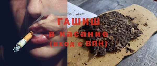 индика Арсеньев
