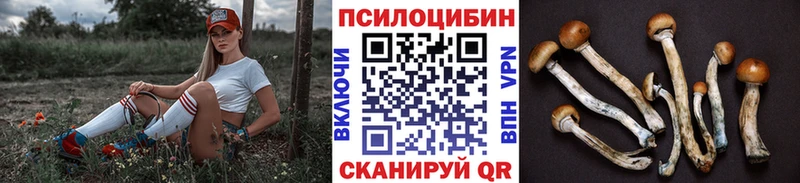 hydra рабочий сайт  Волгодонск  Псилоцибиновые грибы Cubensis 
